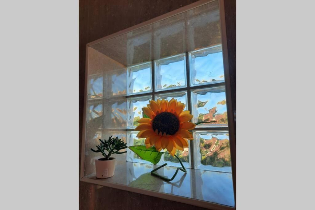 Sunflower Sea View with magnificent terrace in Serra da Pescaria, Nazaré - Portugal Esterno foto