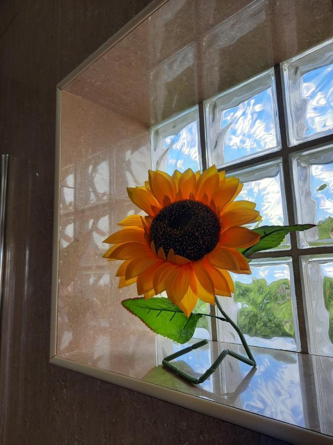 Sunflower Sea View with magnificent terrace in Serra da Pescaria, Nazaré - Portugal Esterno foto
